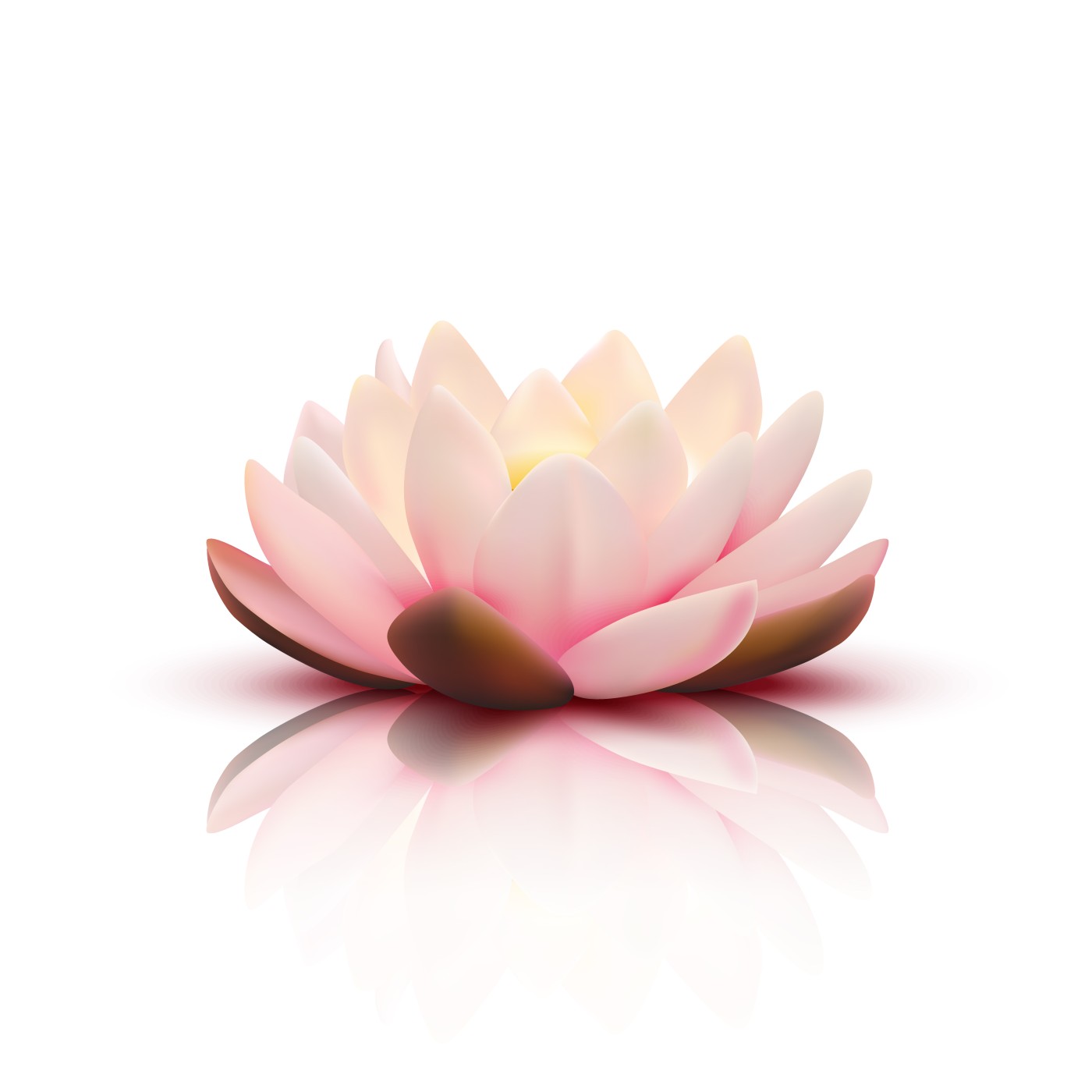 tresor des sens colmar massage